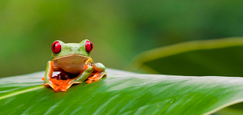 costa-rica-5